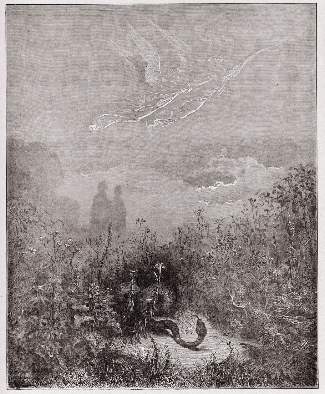 Jumalallinen komedia (La Divina Commedia, La Divine Comedie), Purgatorio, Canto 8: Enkelit ajavat käärmeen pois - Dante Alighieri (1265-1321) - Kuvitus Gustave Dore (1832-1883) tekijältä Gustave Dore