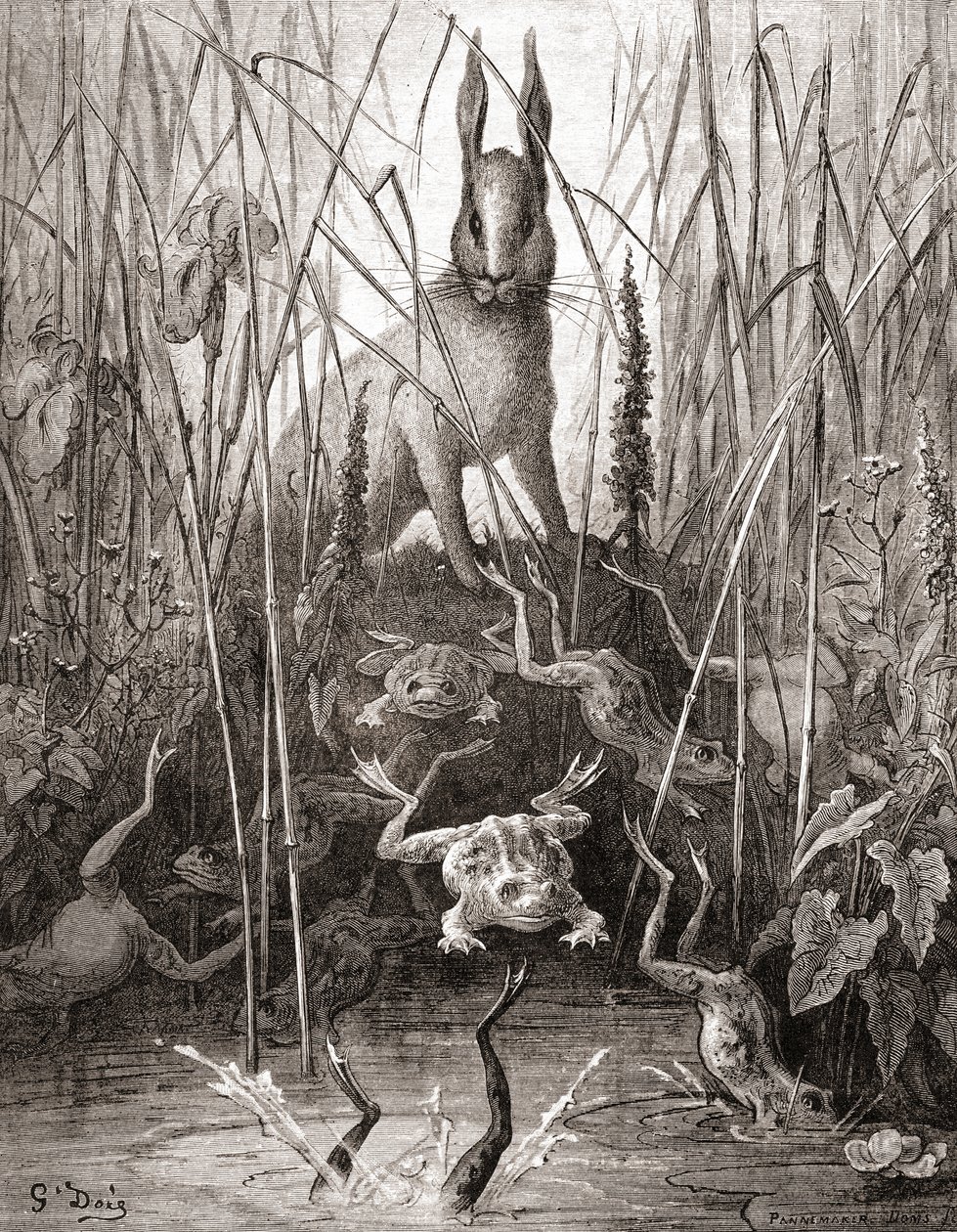 Jänis ja sammakot, 1800-luvun lopun Fables de La Fontainen painoksesta (puukaiverrus) tekijältä Gustave Dore