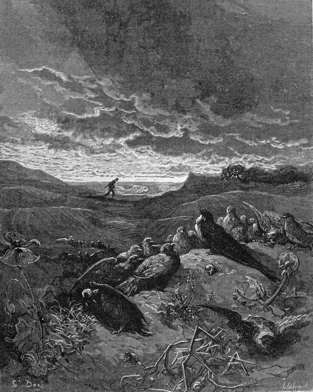 Pääskynen ja linnut, kuvitus La Fontainen "Fablesista", 1868 tekijältä Gustave Dore