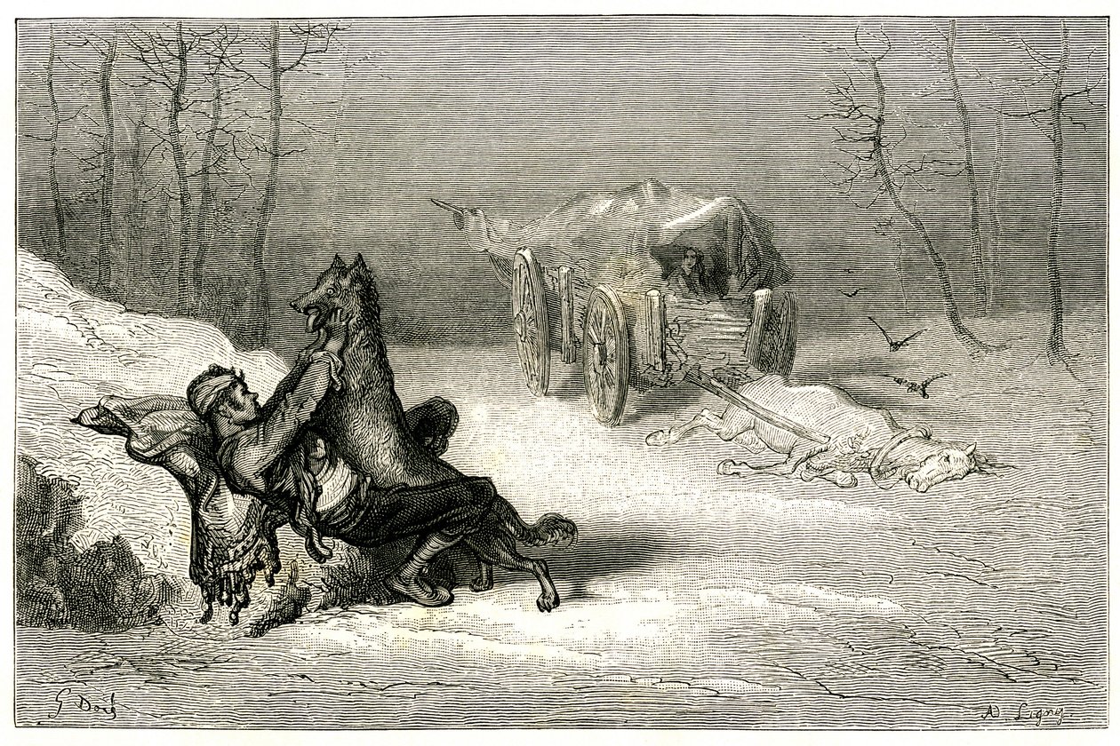 Rosvo Agostinin kimppuun hyökkää susi, lähellä kuollutta hevosta, joka on vielä kärryissä, hylkää koomikot tai piilottaa pienen Chiquitan. Gustave Doren kaiverrus, joka kuvittaa Theophile Gautierin romaania "Le capitaine Fracasse", painos Charpentier 1863. tekijältä Gustave Dore