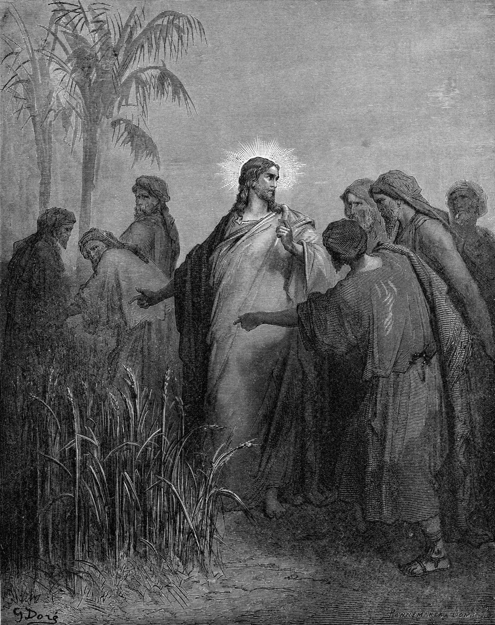 Opetuslapset kynivät viljaa sapattina tekijältä Gustave Dore