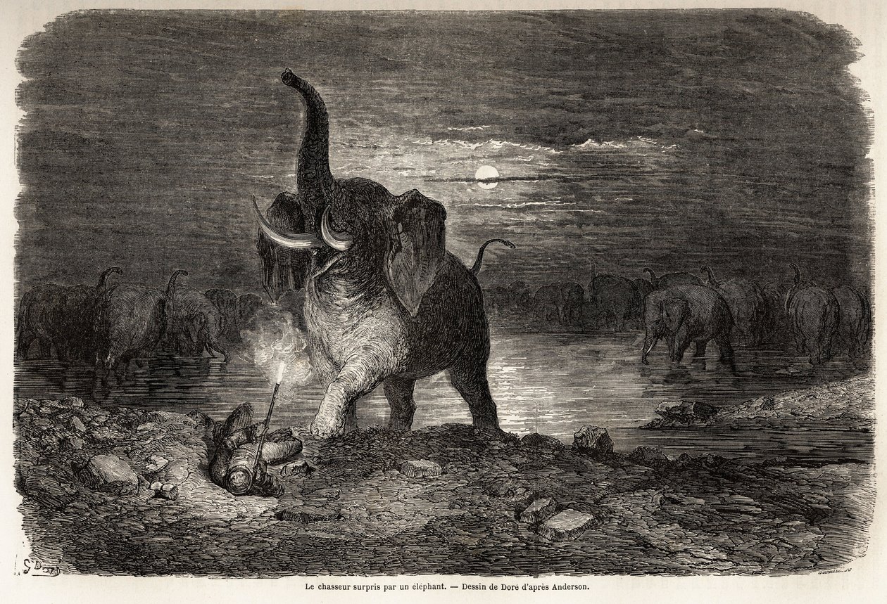 Metsästäjä yllätti norsun lähellä Ngami-järveä (Botswana), Gustave Doren (1832-1883) piirtämä Charles Jean Andersonin seikkailuja ja metsästystä Etelä-Afrikassa. Kaiverrus "" Le tour du monde, nouveau journal des voyages"" Paris tekijältä Gustave Dore
