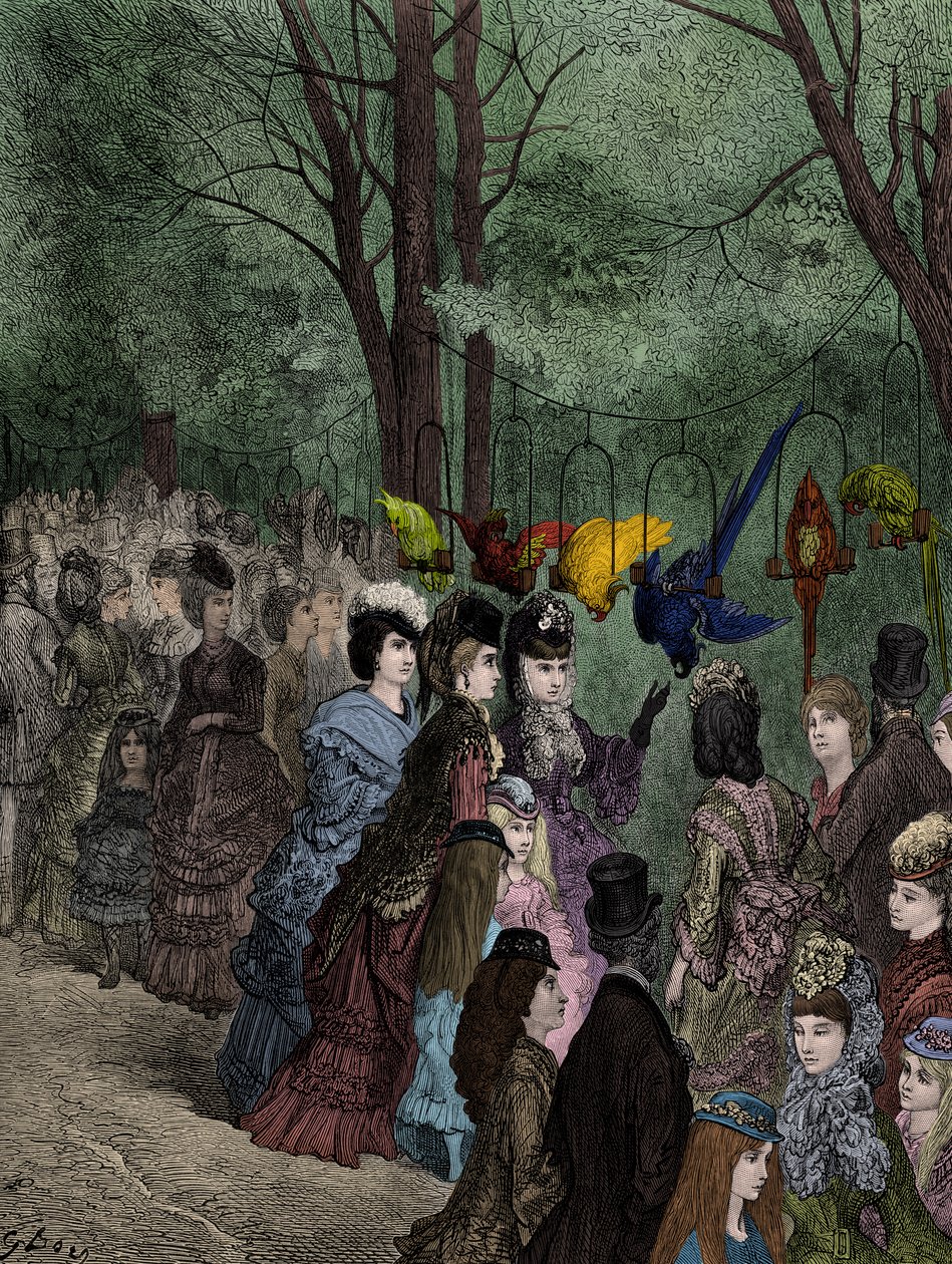 Dorén papukaijakävely viktoriaanisessa Lontoon eläintarhassa tekijältä Gustave Dore