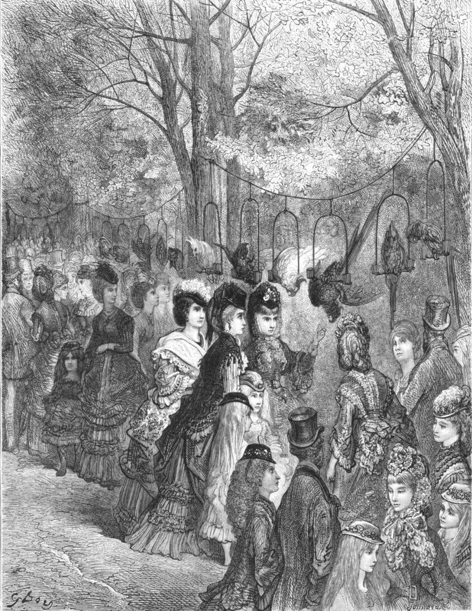 "Zoological Gardens - The Parrot Walk", 1872. tekijältä Gustave Dore
