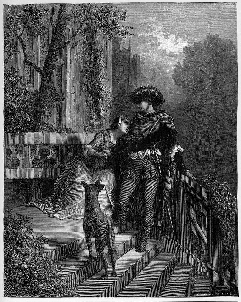 kaksi kyyhkysiä - kaksi kyyhkysiä - Jean de La Fontainen "Fables" -sarjasta tekijältä Gustave Dore