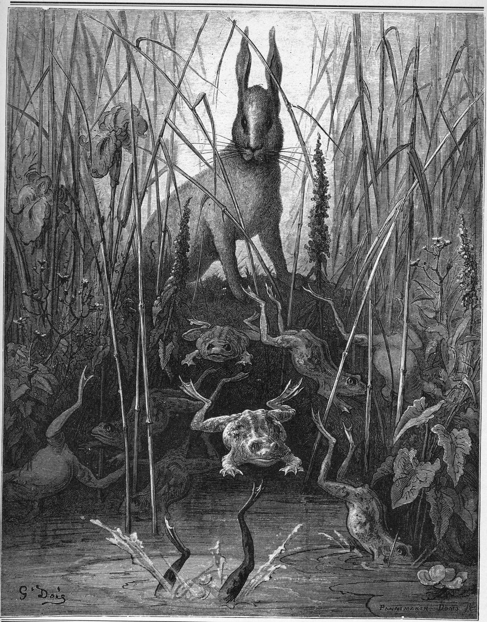 jänis ja sammakko - Jänikset ja sammakot - Jean de La Fontainen "Fablesista" tekijältä Gustave Dore