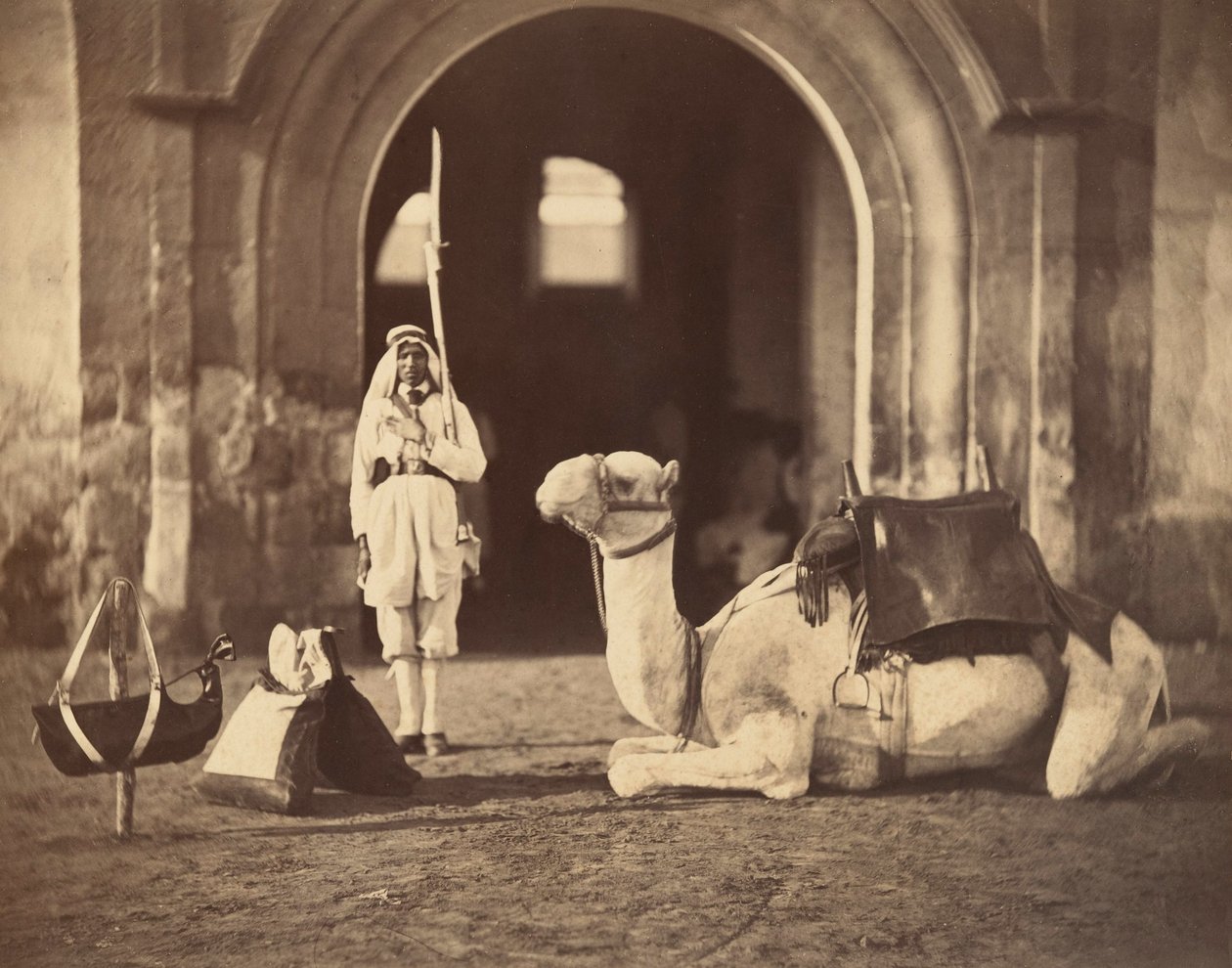 Kameli makuulla, n.1866 (syväpaino) tekijältä Gustave Le Gray