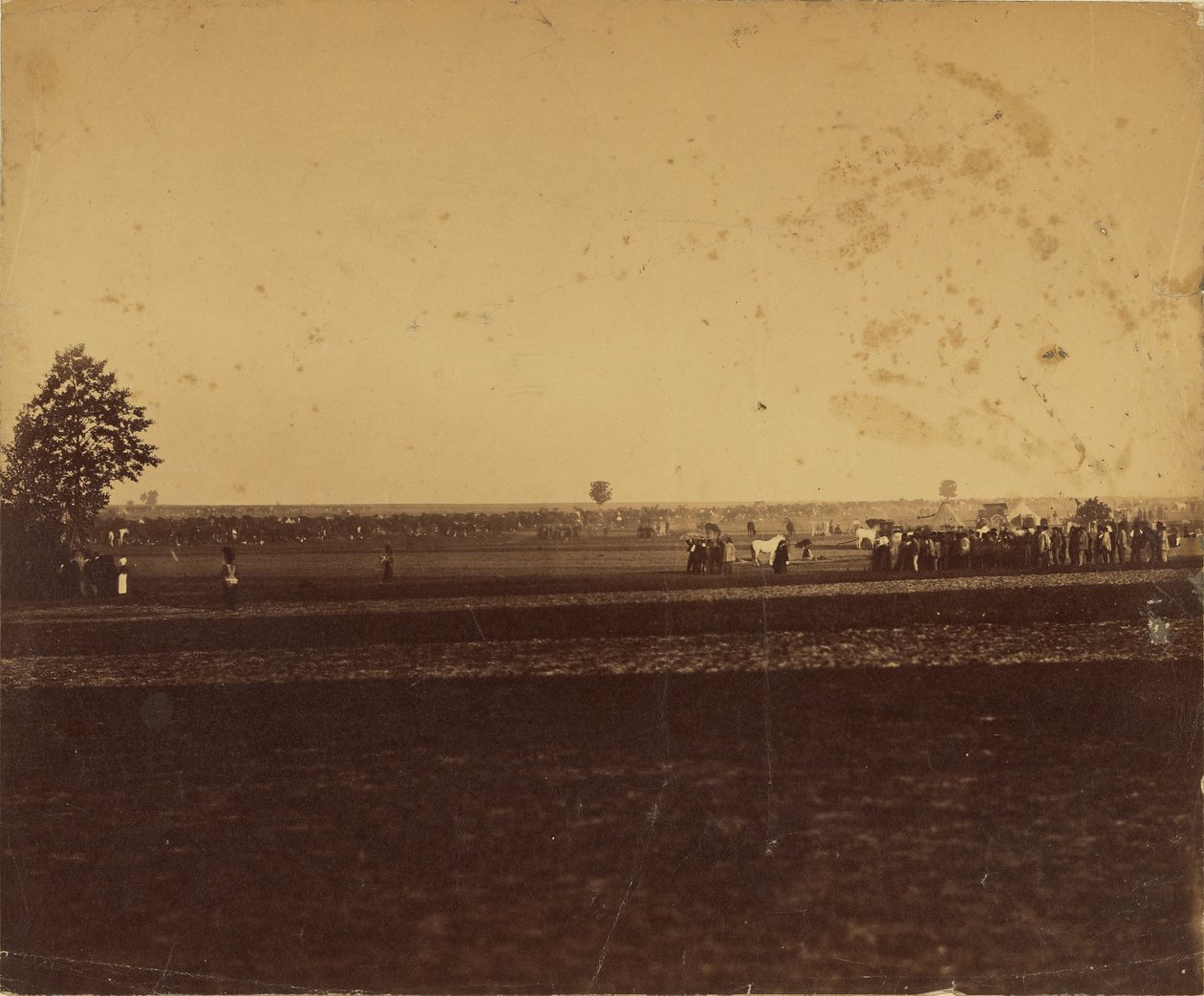 [Camp de Chalons] tekijältä Gustave Le Gray