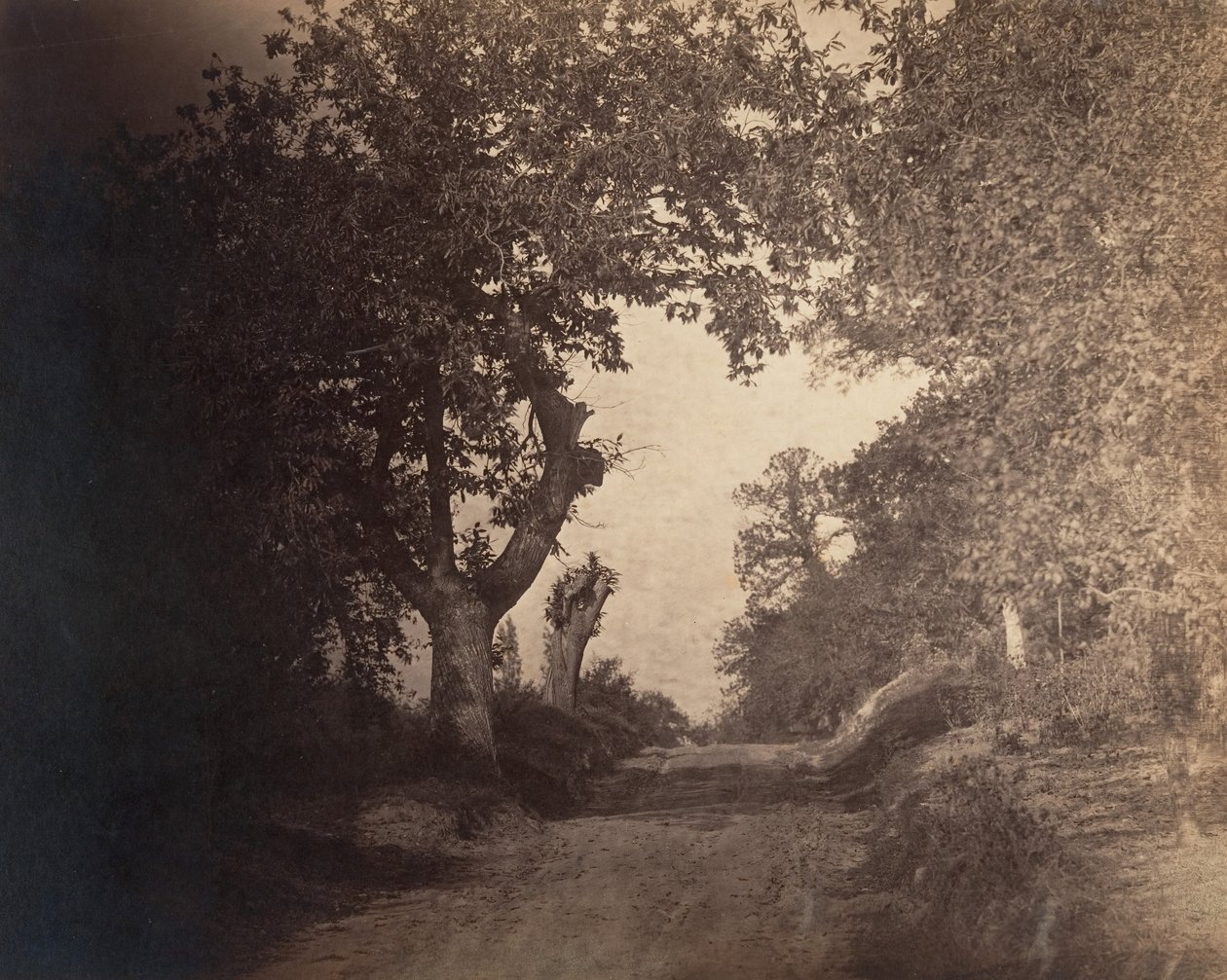 Fontainebleau, hiekkatie ylämäkeen, n. 1856. tekijältä Gustave Le Gray