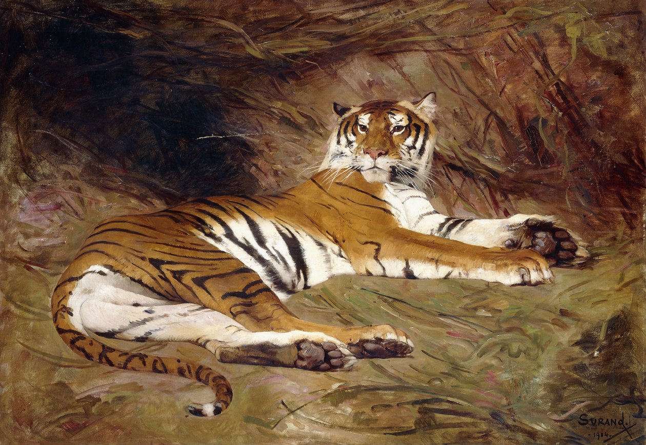 Makaava tiikeri tekijältä Gustave Surand