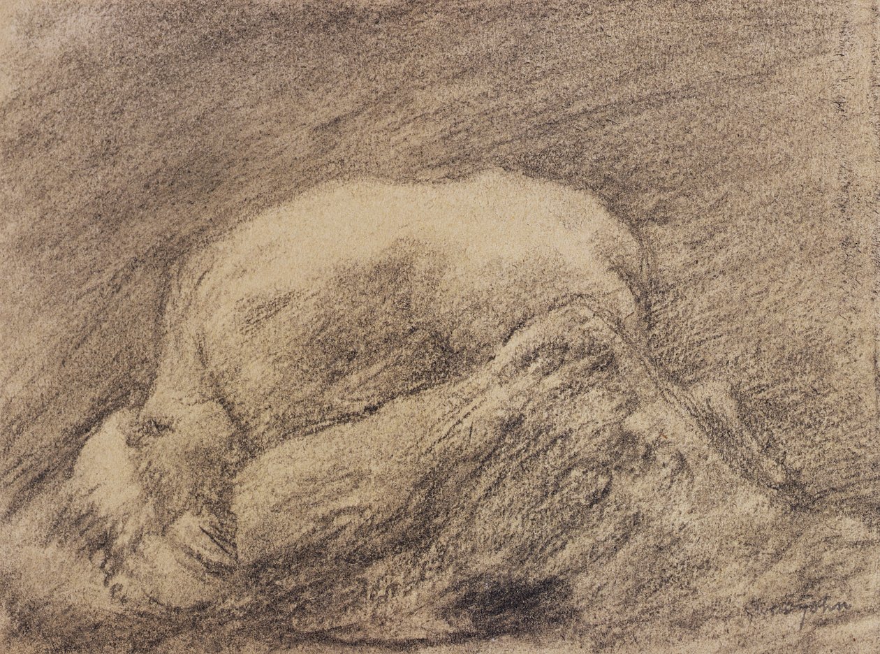Tutkimus Rodinin Danaidista hänen studiossaan (hiili paperilla) tekijältä Gwen John