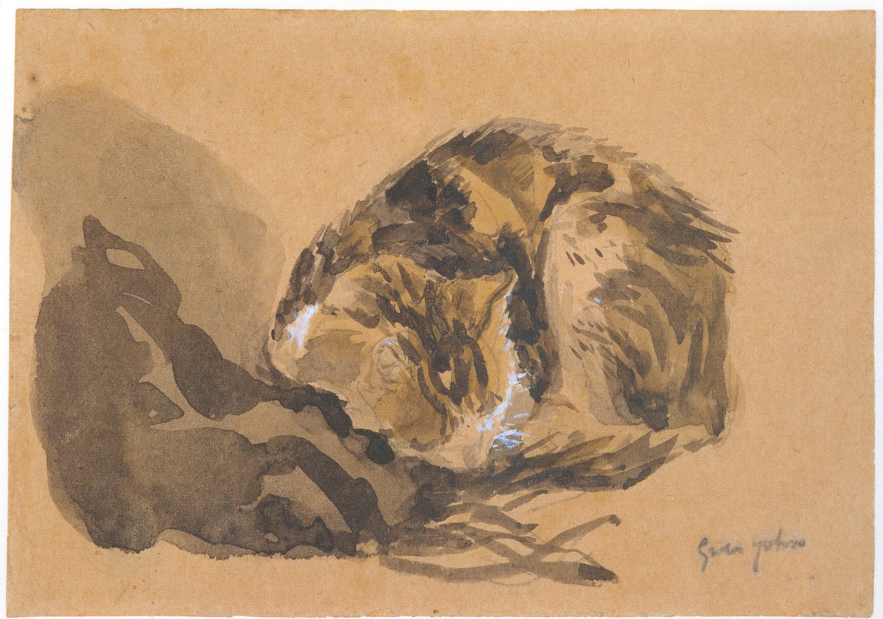 Tutkimus kissasta, 1905-08 tekijältä Gwen John