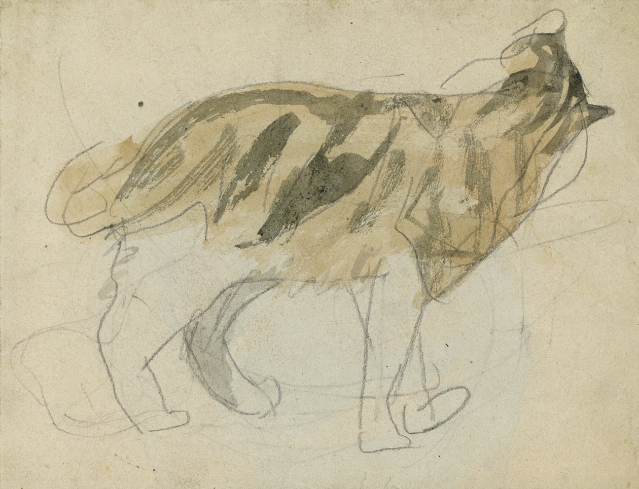Kissatutkimuksia (lyijykynä ja vesiväri paperille) tekijältä Gwen John