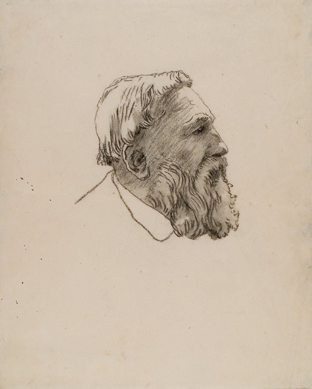 Rodinin pää (hiili paperille) tekijältä Gwen John