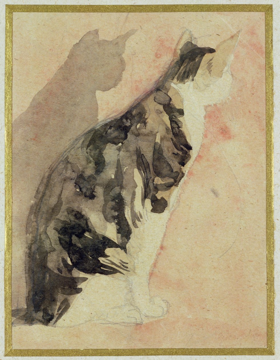 Tutkimus kissasta tekijältä Gwen John