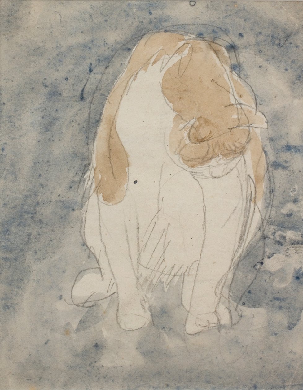Kissan opinnäytetyö, n. 1910-20 (akvarelli ja grafiittikynä paperille). tekijältä Gwen John