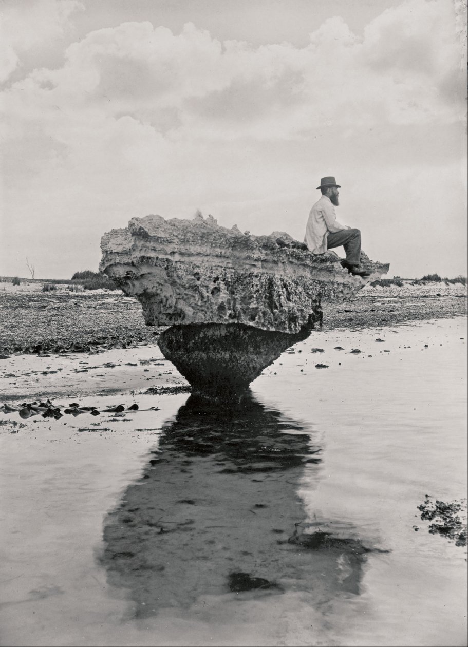 Korsetti Rock tekijältä H. H. Tilbrook