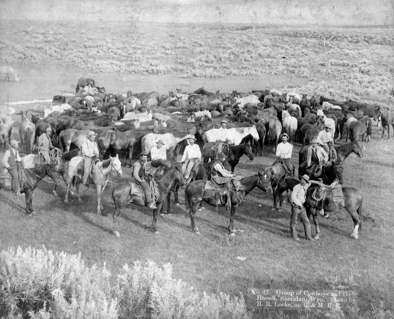 Ryhmä cowboyta ja heidän hevosiaan, Sheridan, Wyoming, n.1890. tekijältä H. R. Locke