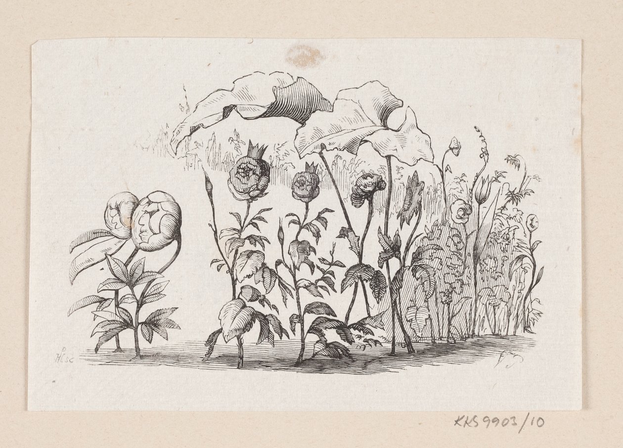 Kuvitus elokuvalle "Den lille Idas Blomster" H.C. Andersen, "Satuja ja tarinoita", osa 1 tekijältä H.P. Hansen