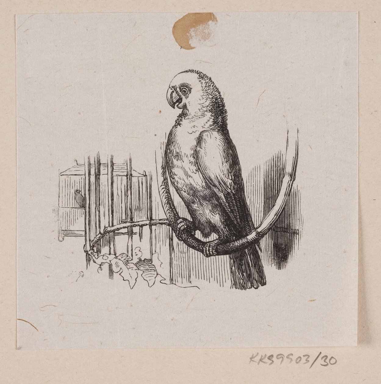 Kuvitus "Lykkens Kaloskerille" H.C. Andersen, "Satuja ja tarinoita", osa 1 tekijältä H.P. Hansen