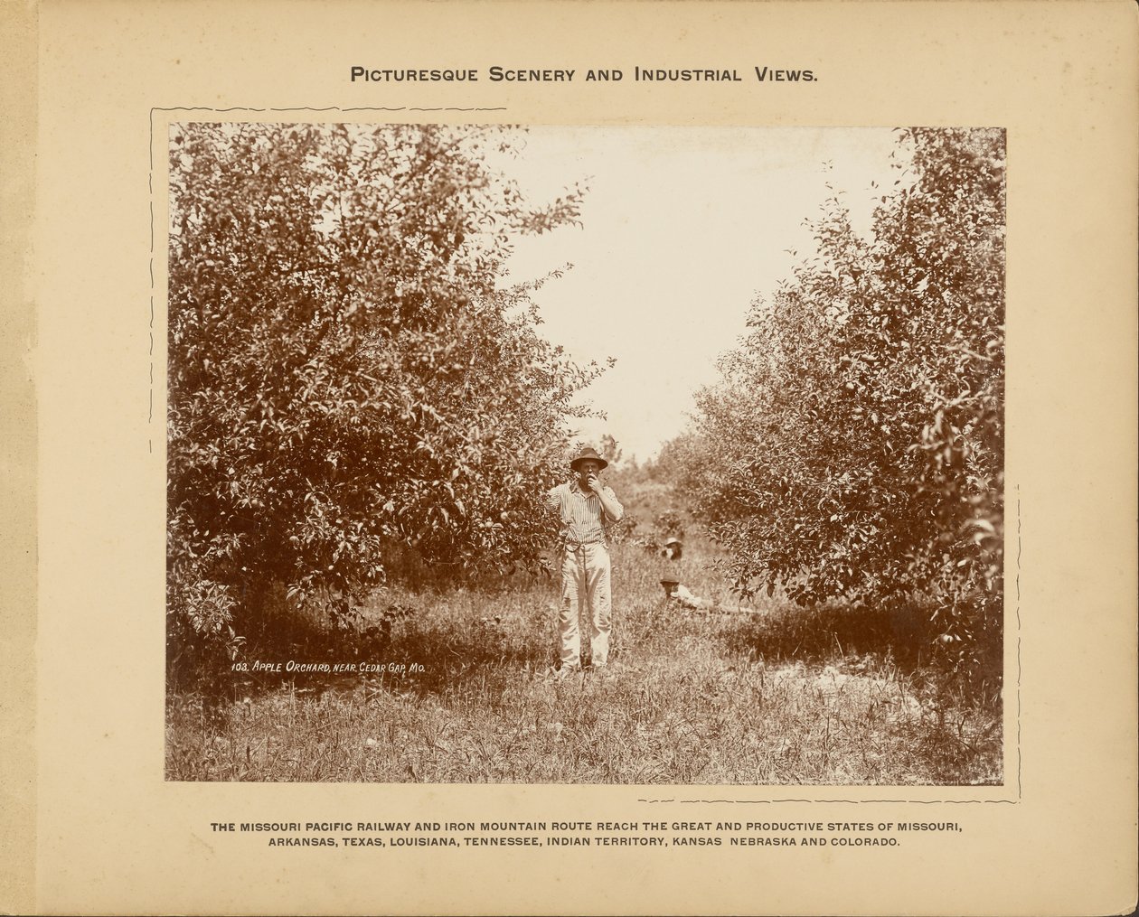 Omenatarha, lähellä Cedar Gapia, Missouri tekijältä H. C. Townsend