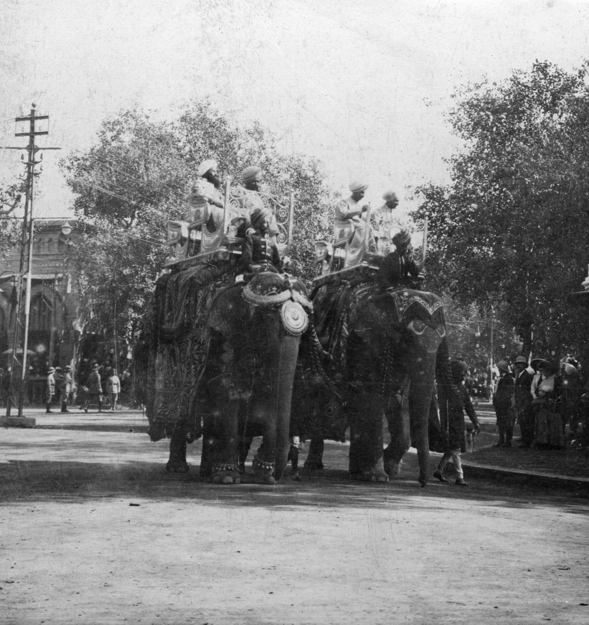 Punjabi-prinsessa ratsastaa norsulla kulkueessa, Delhi, Intia, 1900-luku. tekijältä H. Hands and Son