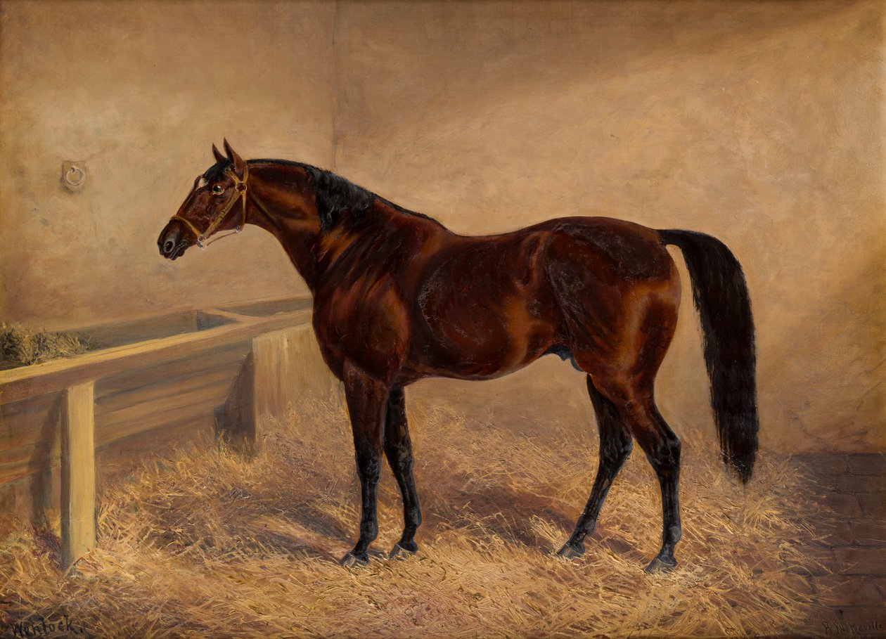 Wenlock: A Bay Racehorse, irtonaisessa laatikossa, n. 1881-1903 (öljy kankaalle) tekijältä H. Whittaker Reville