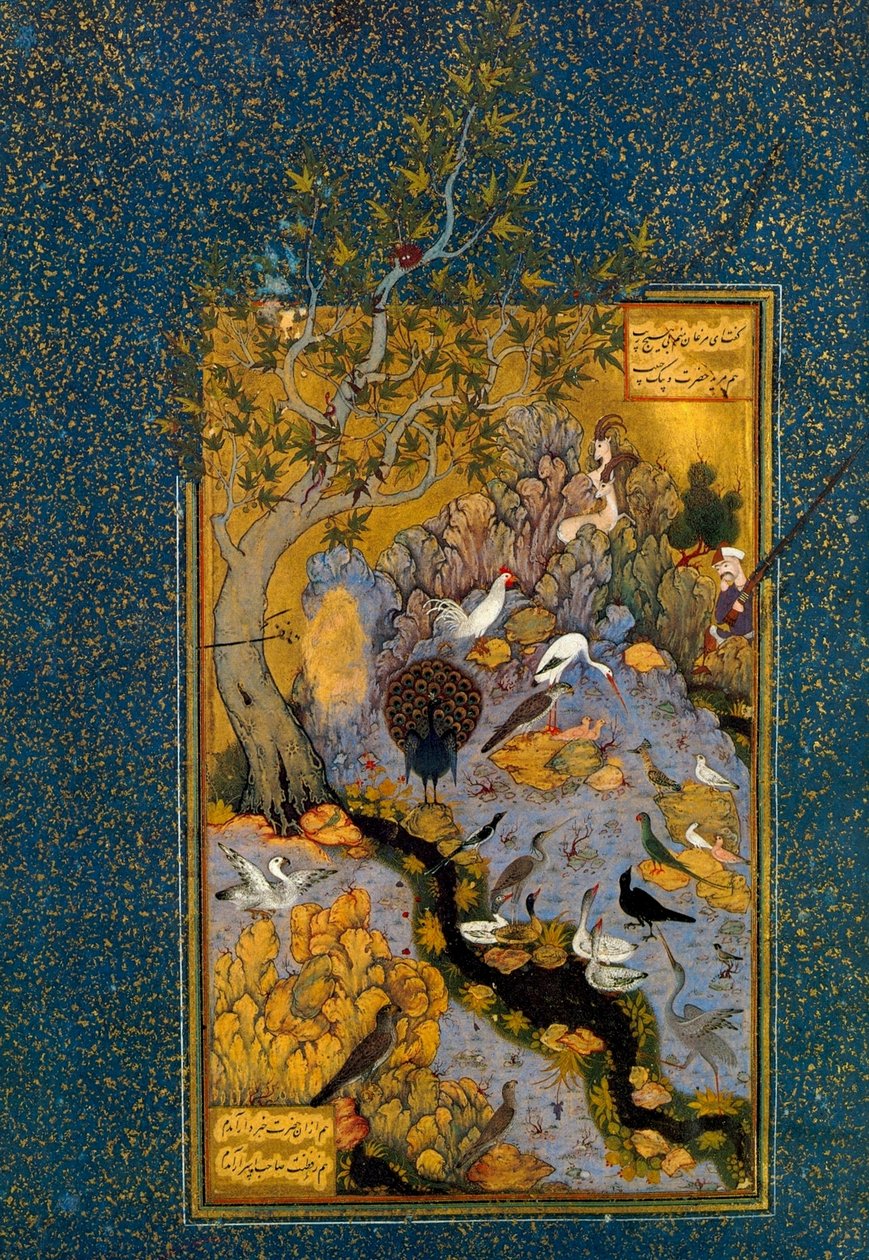 Folio Mantiq al-Tayrista Lintujen kieli, Attar, c1600. tekijältä Habib Allah