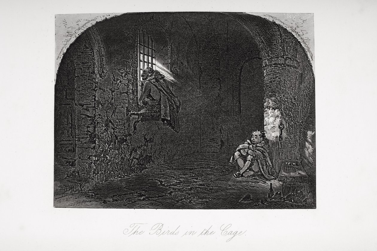 The Birds in the Cage, kuvitus Charles Dickensin (1812-70) Little Dorritista, joka julkaistiin ensimmäisen kerran 1857 tekijältä Hablot Knight Browne