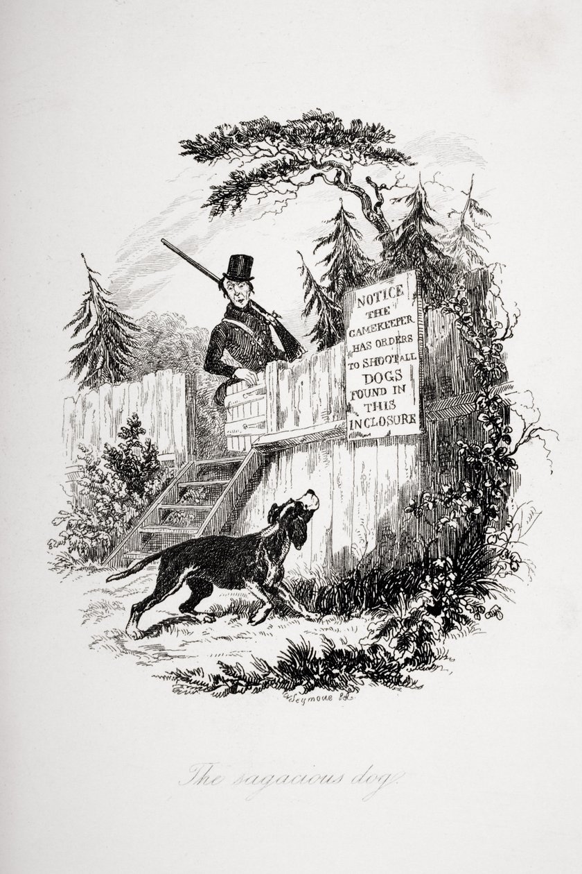Viisas koira, kuvitus Charles Dickensin (1812-70) Pickwick Papersista, julkaistu 1837 tekijältä Hablot Knight Browne