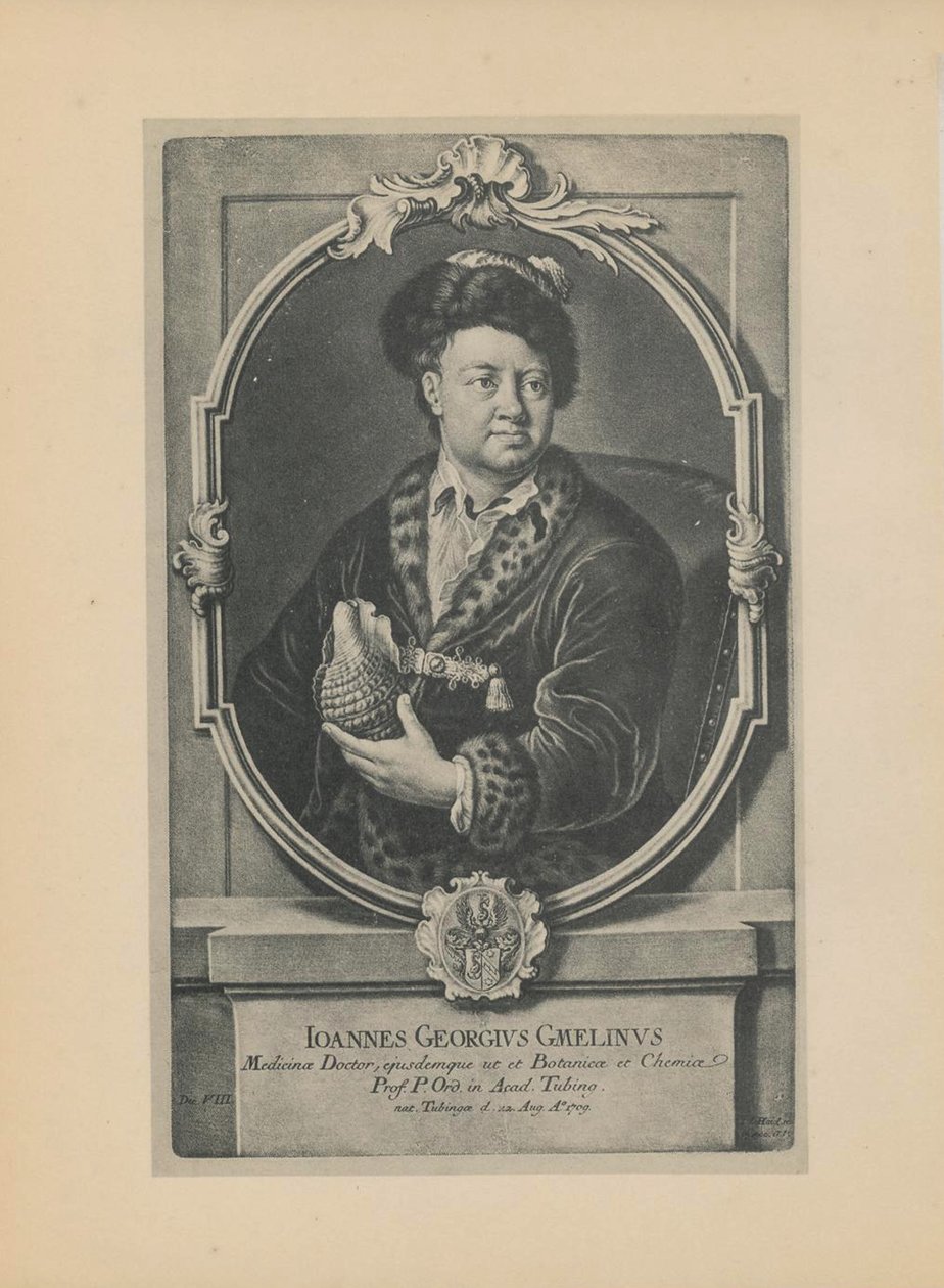 Luonnontieteilijä, kasvitieteilijä ja maantieteilijä Johann Georg Gmelinin muotokuva 1709-1755, 1700-luvun puoliväli. tekijältä Haid