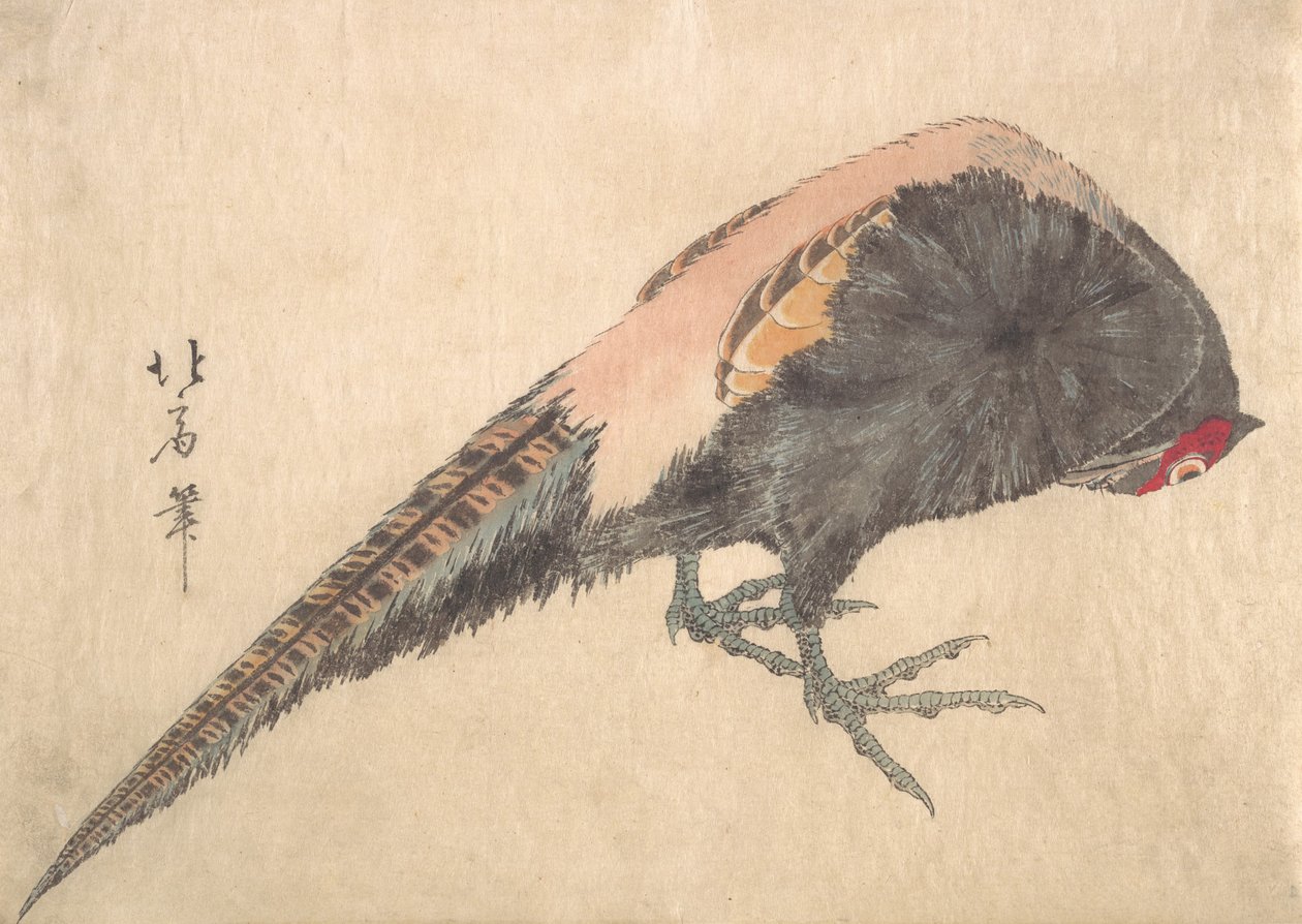 Ocell, 1830. finlandès tekijältä Hakusanjin Hokui