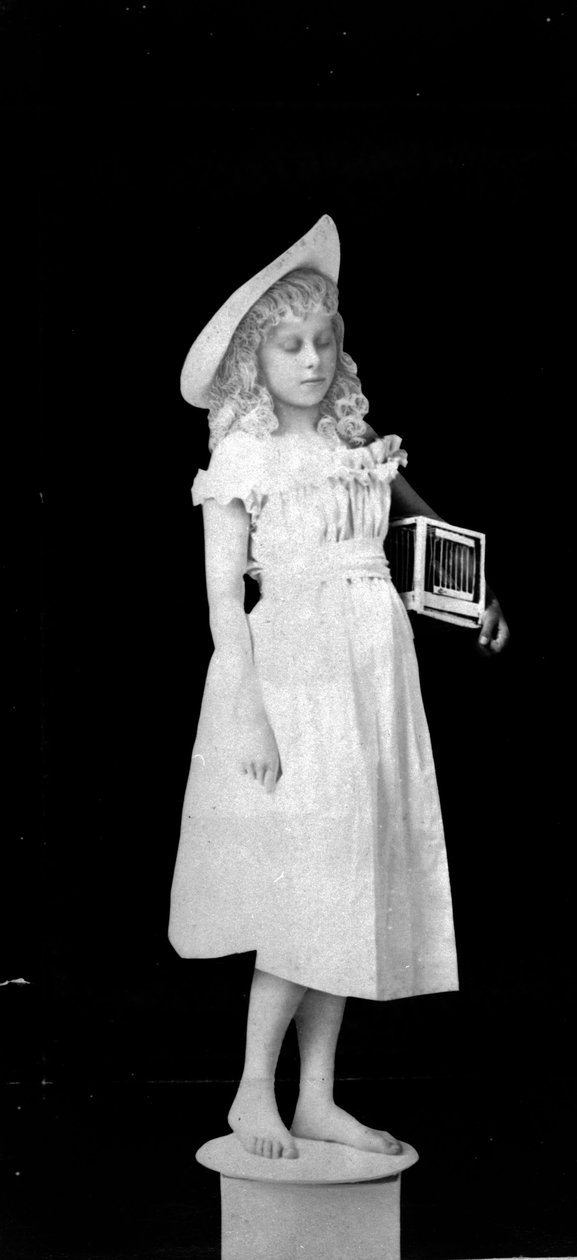 Patsaita elämästä; tyttö pitelee lintuhäkkiä, n.1890 (svetokuvassa). tekijältä Hannah Maynard
