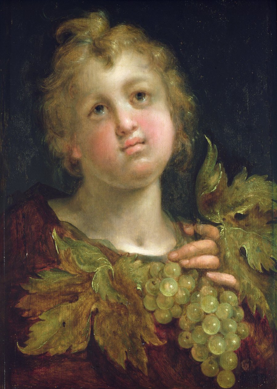Poika rypäletertun kanssa, 1600-5 tekijältä Hans von Aachen