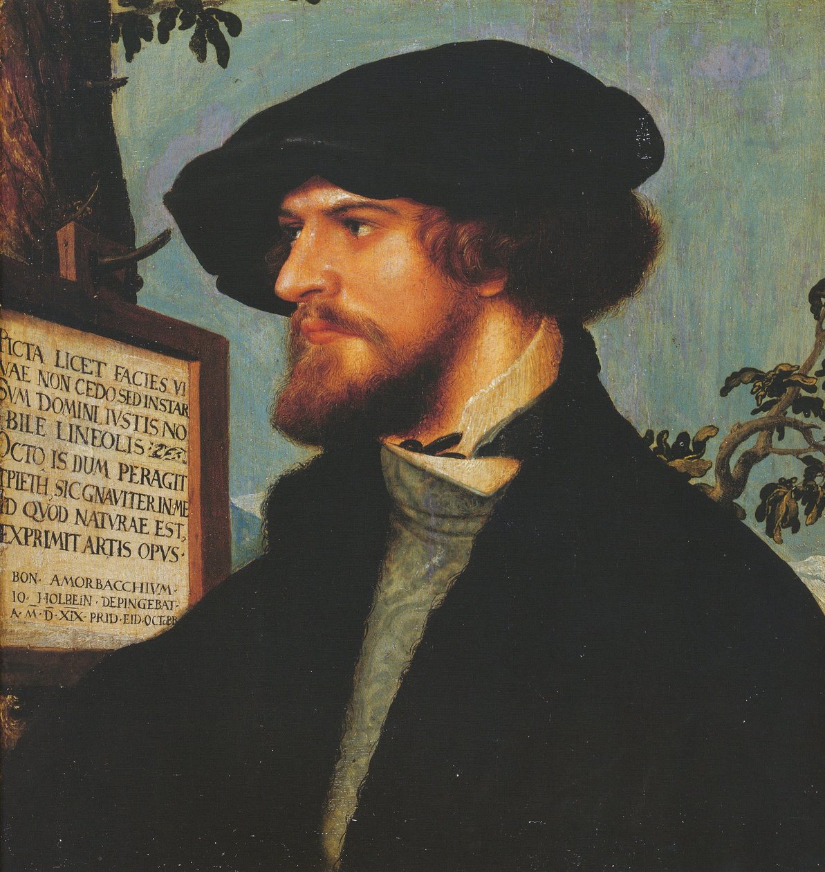 Bonifacius Amerbachin muotokuva tekijältä Hans Holbein