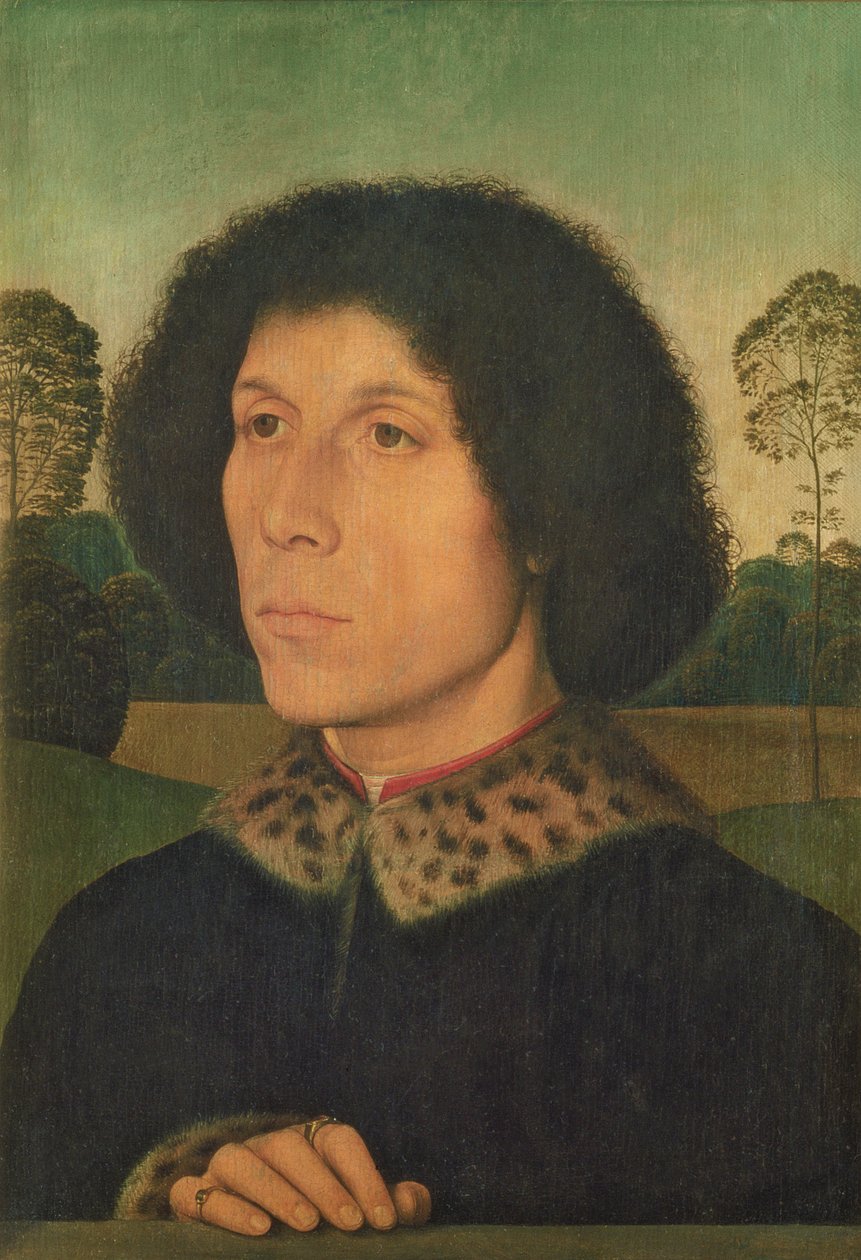 Miehen muotokuva maisemaa vasten, n.1470 (paneeli) tekijältä Hans Memling