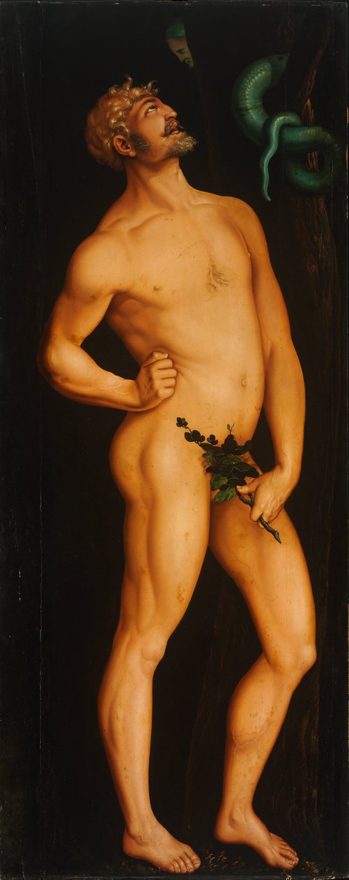 Adam tekijältä Hans Baldung Grien