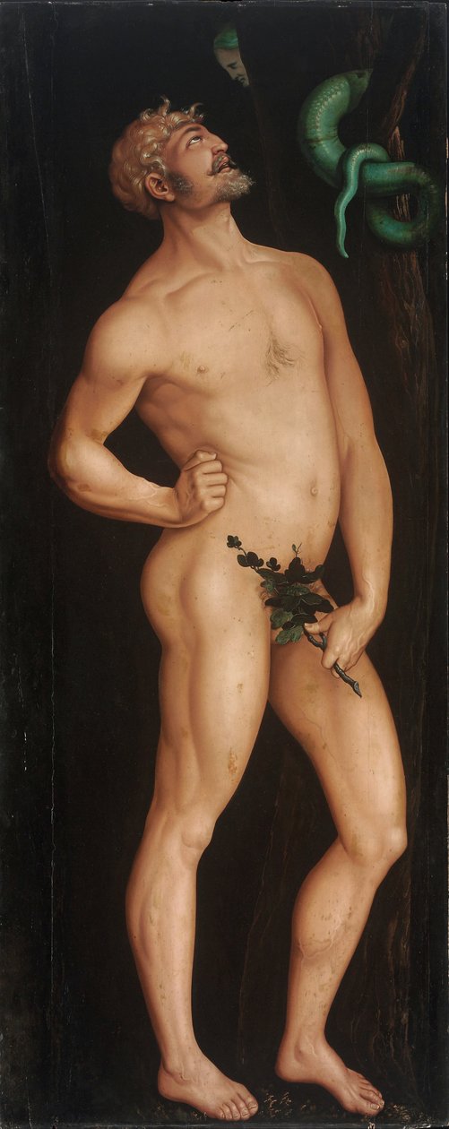Adam tekijältä Hans Baldung Grien