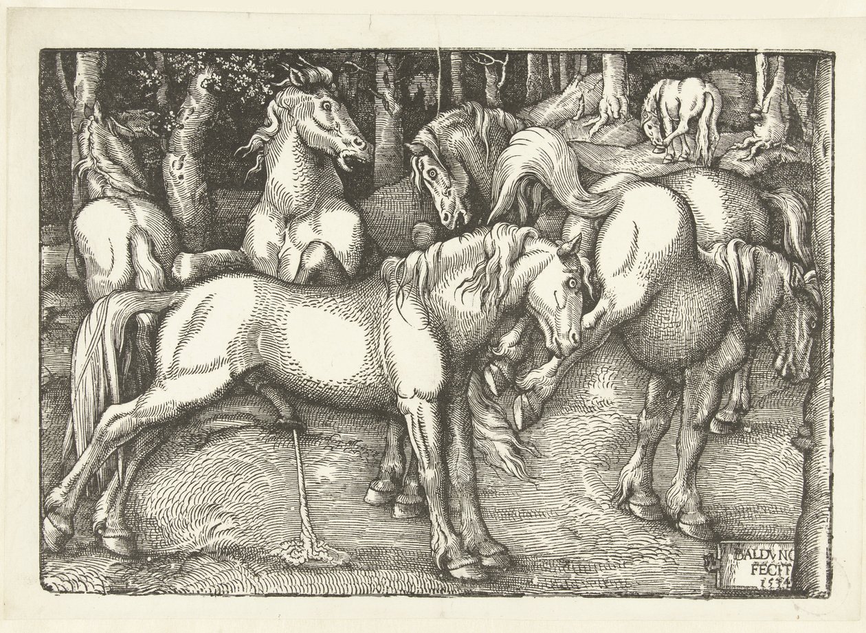 Kuuden taisteluhevosen ryhmä tekijältä Hans Baldung Grien
