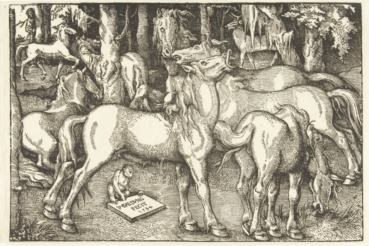 Seitsemän hevosen ja apinan ryhmä tekijältä Hans Baldung Grien