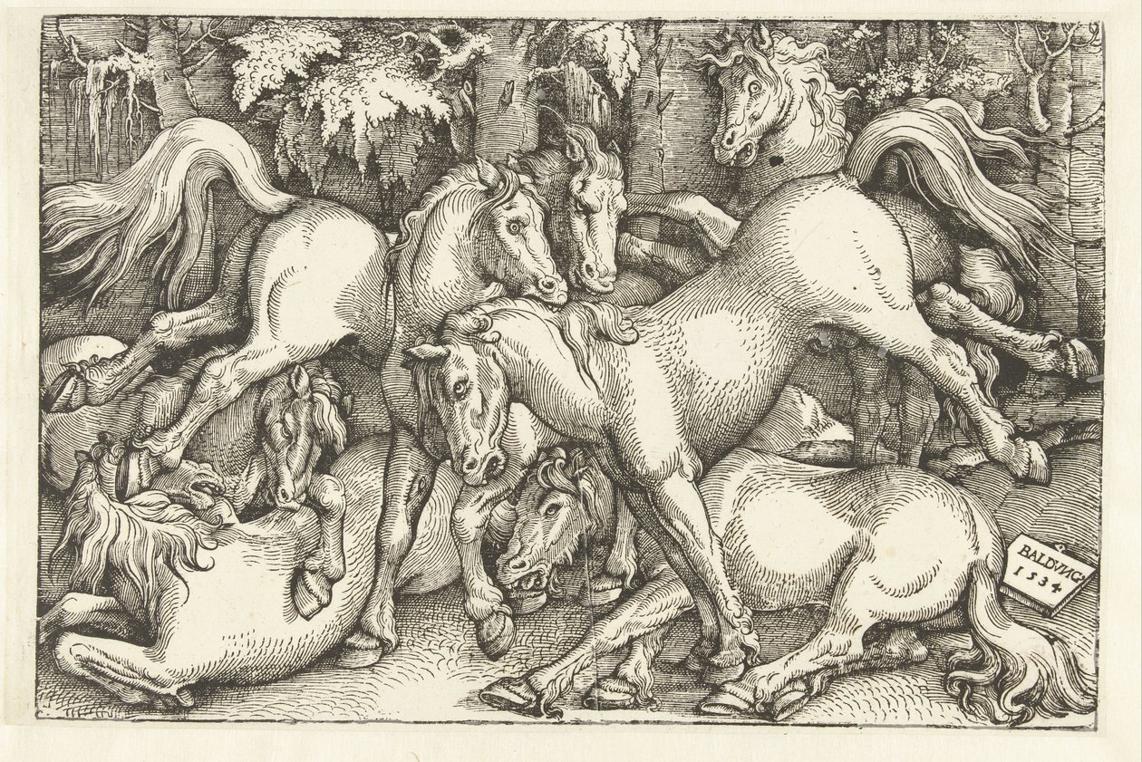 Seitsemän taisteluhevosen ryhmä tekijältä Hans Baldung Grien