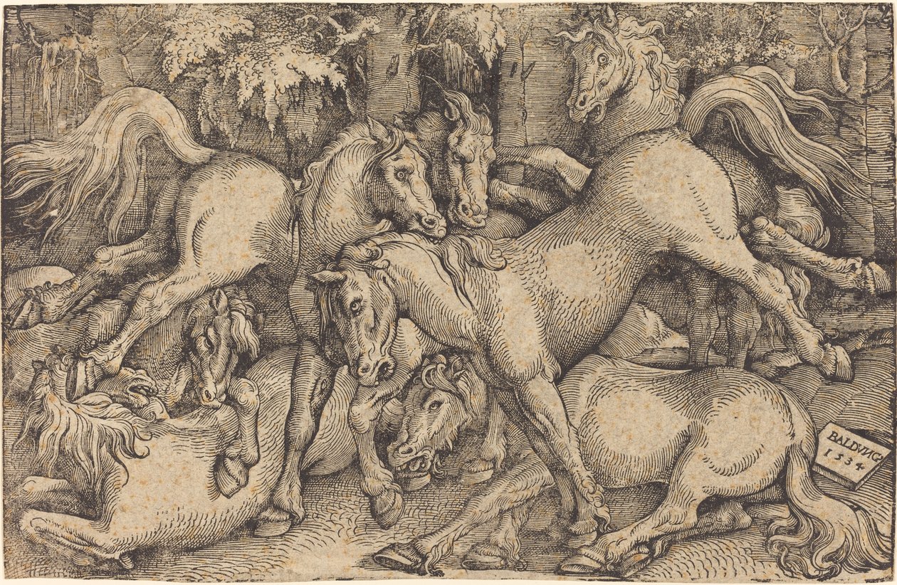 Seitsemän hevosen ryhmä metsässä tekijältä Hans Baldung Grien