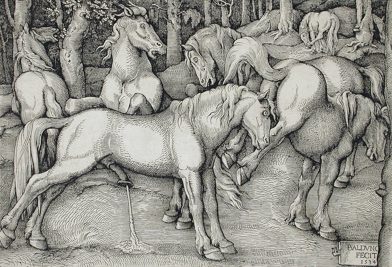 Ori ja potkiva tamma metsässä villihevoslauman keskellä tekijältä Hans Baldung Grien