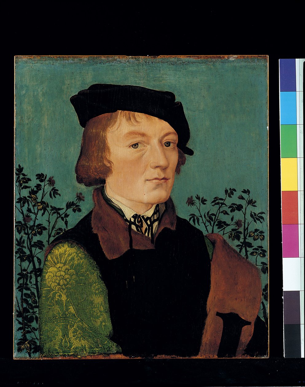 Miehen muotokuva ruususaidan edessä (öljy puulle) tekijältä Hans Baldung Grien