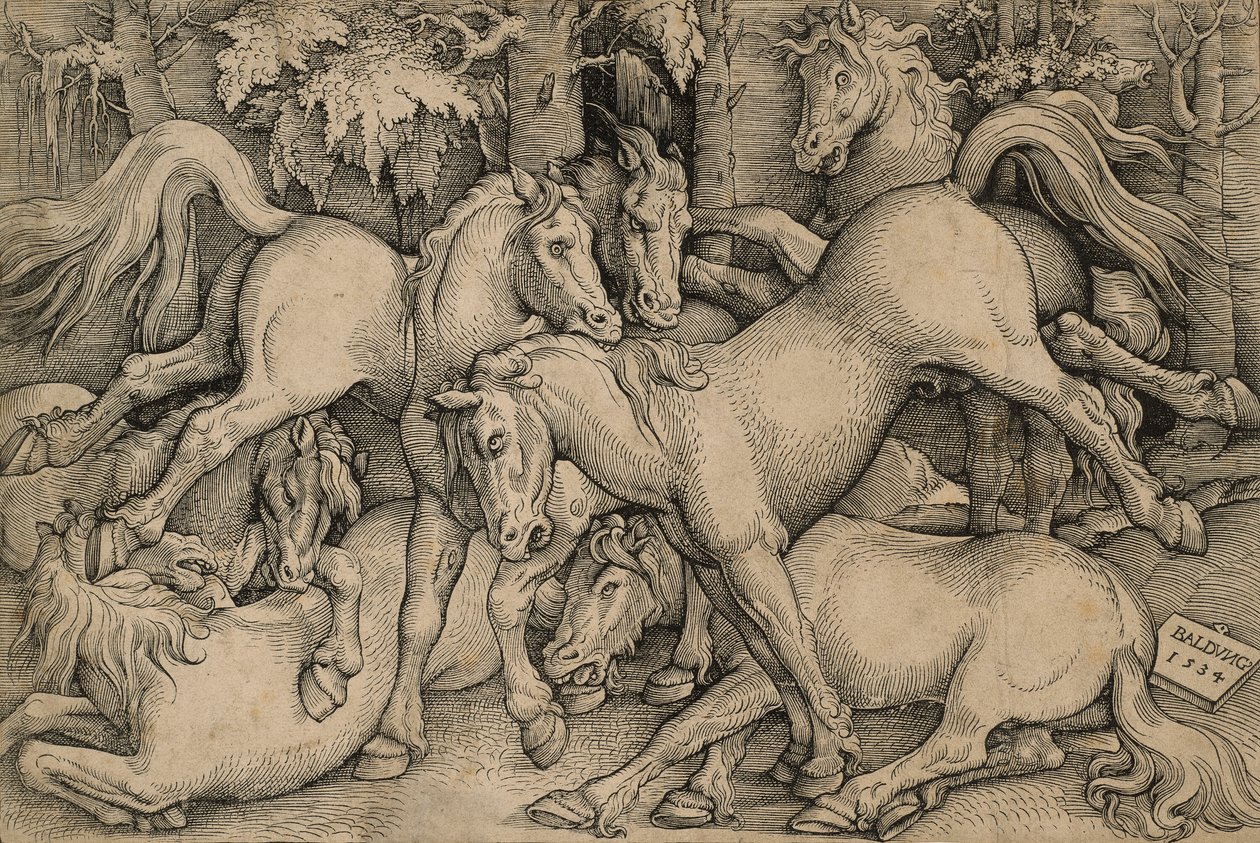 Villihevosten taistelu tekijältä Hans Baldung Grien