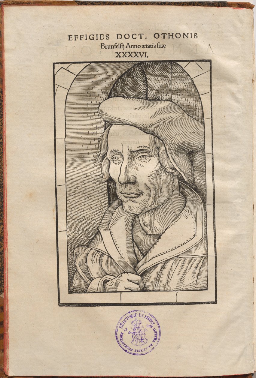 Othonis Brunfelsiuksen huomautukset neljässä evankeliumissa ja Apostolien teoissa... tekijältä Hans Baldung Grien, Otto Brunfels