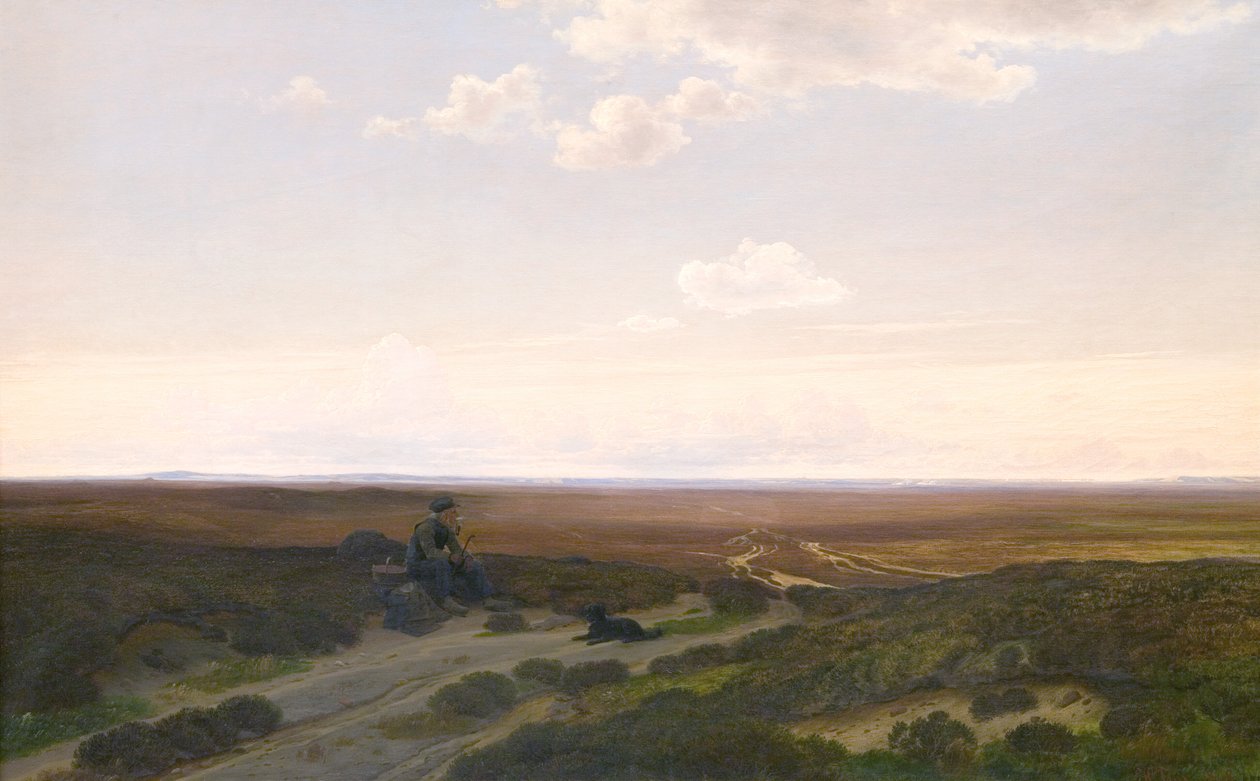 Näkymä Pårup Moorsille lähellä Silkeborgia, Jyllannissa tekijältä Hans Friis