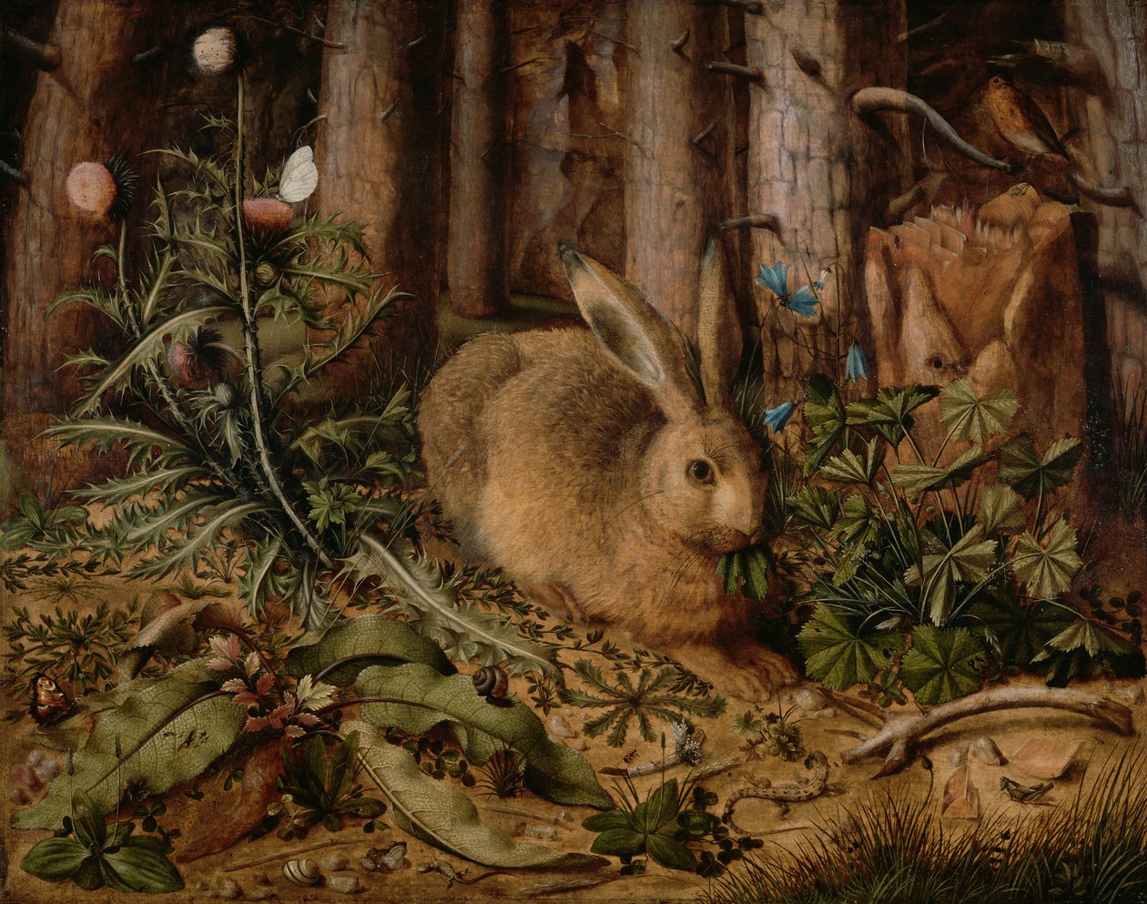 Jänis metsässä tekijältä Hans Hoffmann