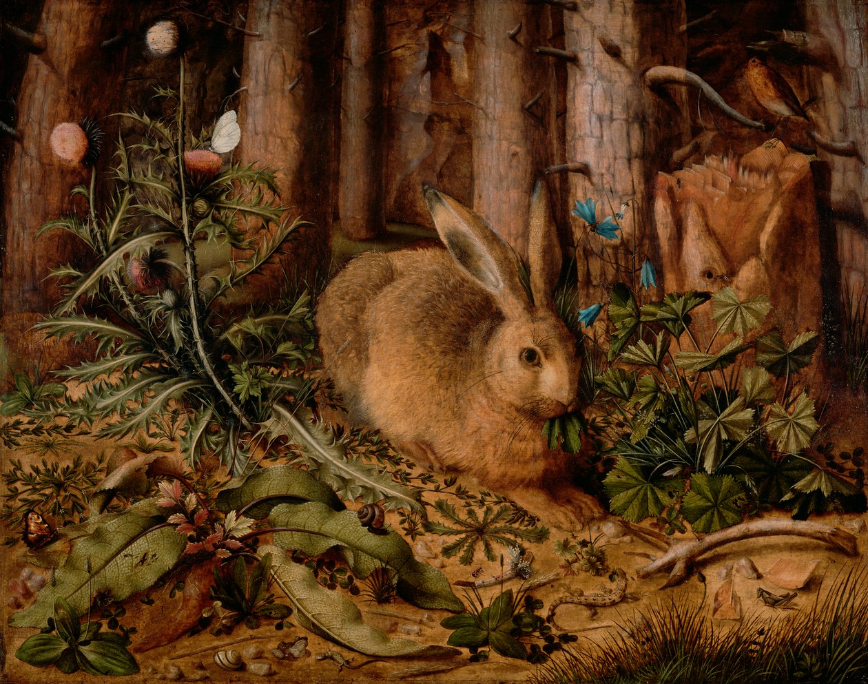 Jänis metsässä, n. 1585 (öljy paneelissa) tekijältä Hans Hoffmann