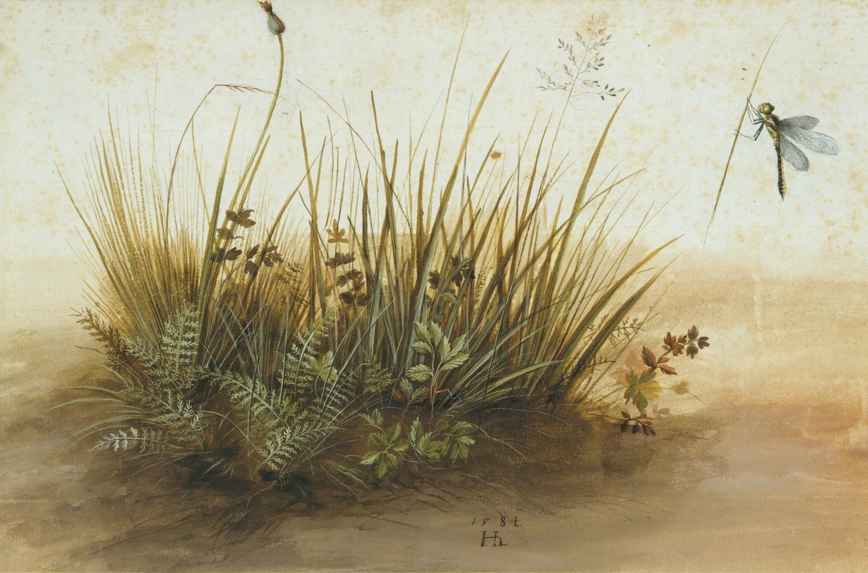 Pieni pala turvetta, 1584. tekijältä Hans Hoffmann